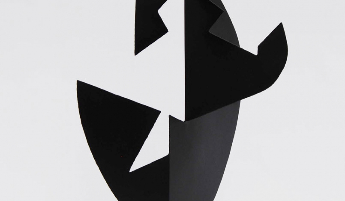 Funzione Sviluppo di Forma Concreta - Angelo Bozzola