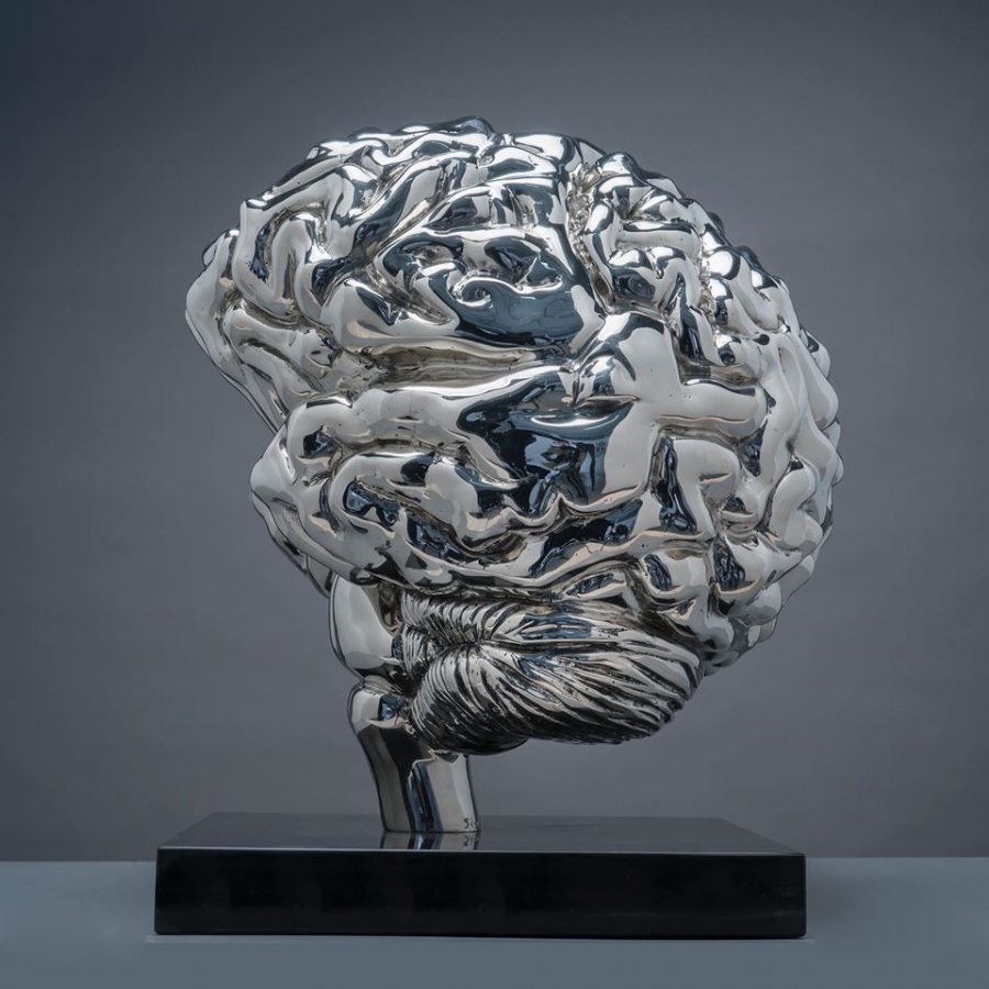 Brain - Szymon Oltarzewski