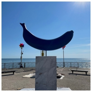 The Blue Banana